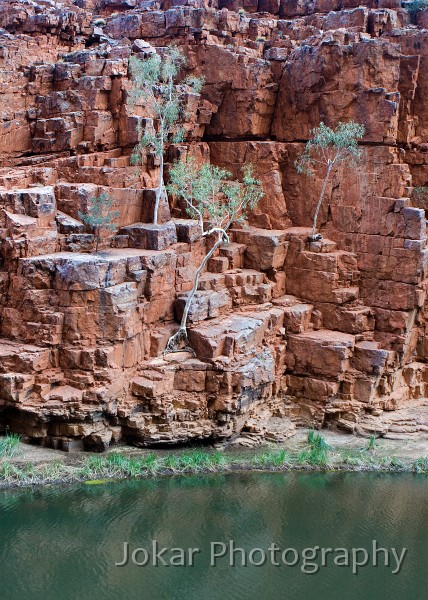 Ormiston Gorge_20070913_087.jpg